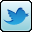 Digital Treasure Video Twitter